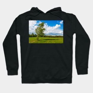 Lonely birch torn by the strong wind Hoodie